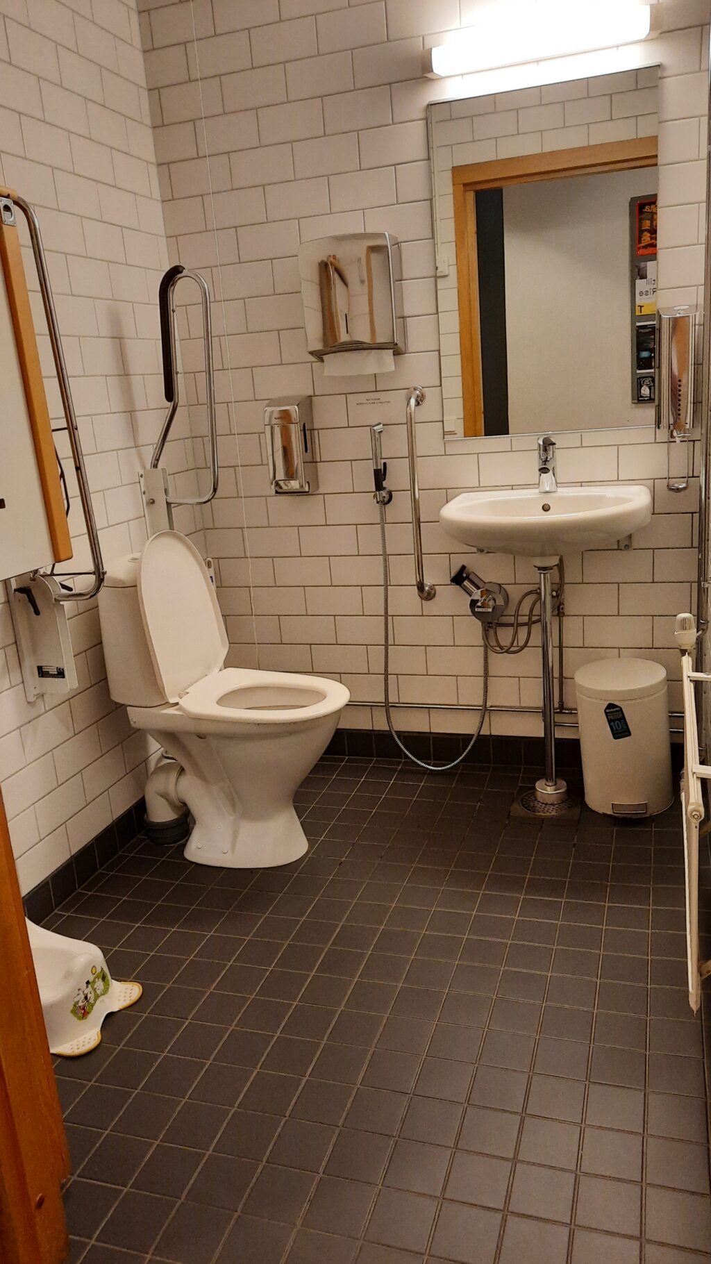 Kuva WC-tilasta, jossa istuin on tilan nurkassa.